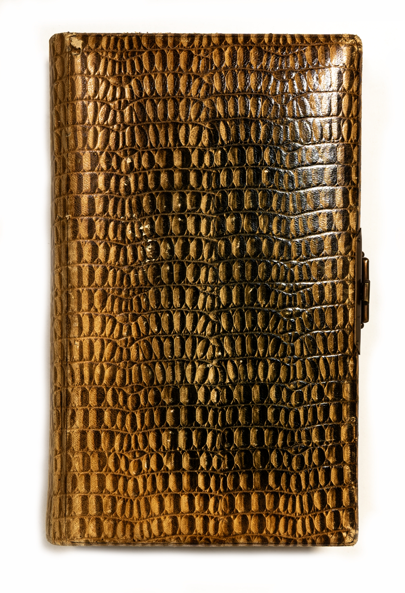 Fotoalbum med ormskinnsmönstrade pärmar i grönbruna färger samt ett metallspänne. Insidan klädd med blommigt papper. Innehåller visitkort.