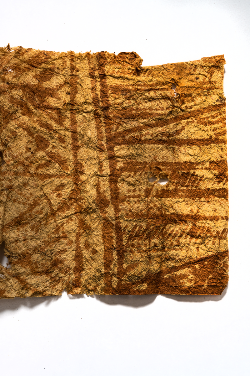 Hemfört från Söderhavet av sjökapten Johan Axel Hedlund vid resa med barkskeppet FREDENSBORG på 1890-talet.

Troligen från Samoa eller Tonga.