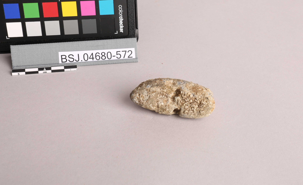 Lite blylodd med spor etter hull, funnet ved skipet AKERENDAM som forliste på Runde i 1725. Mulig benyttet som fiskesøkke.