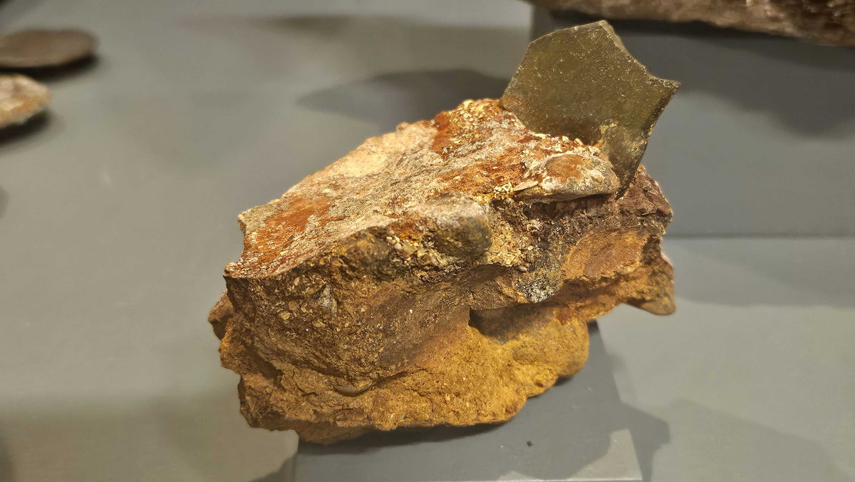 Korrosjonsklump med  glasskår funnet ved skipet AKERENDAM som forliste på Runde i 1725.