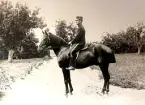 Smålands artilleriregemente, A 6. Underlöjtnant G A Wibeck till häst. Foto från år 1905.