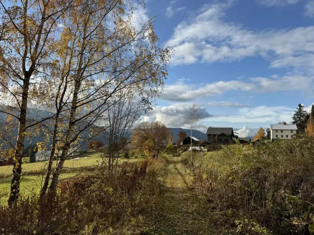 Gammel kjerrevei i kulturlandskapet