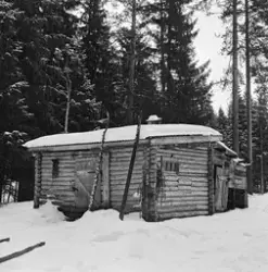 Stallen ved Smaltjernskoia i statens skog i Svartholtet i El