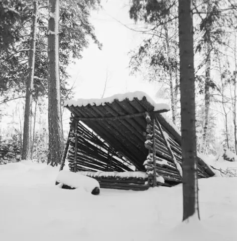 Gapaskjul i Norsk Skogmuseums friluftsmuseum på Prestøya i Elverum i Hedmark, fotografert i 1972. Et gapaskjul var et krypinn som skulle gi et visst vern mot klimaet. Det besto i sin enkleste form av et skråtak – pulttak – med enkle, trekantete sidevegger som også gav et visst vern mot vinden. Slike skjul ble vanligvis lagd av skrapvirke fra skogen der de ble bygd. Dette eksemplaret består av en brisk, lagd av paralleltliggende smågran (staurer med 5-8 centimeters diameter) i drøyt 2 meters bredde og 3 meters lengde. Når slike gapaskjul ble brukt i skogen og langs fløtingsvassdragene ble det naturligvis lagt granbar på briskene, for å skape et noe mjukere sitte- og liggeunderlag enn staurene. I den ene enden av brisken er det reist  to stolper med kløftet topp, som er drevet ned i bakken med 215 centimeters senteravstand. Mellom de nevnte kløftene er det lagt en horisontal stokk, en ås, som er 267 centimeter lang og har en diameter på om lag 10 centimeter. Fra denne stokken og mot den bakre enden er det lagt et pulttak av halvkløvninger. Sideveggene i gapaskjulet er lagd etter et skigardsprinsipp, med staurer som er drevet ned i bakken parvis og mellomliggende staur, holdt på plass ved hjelp av gransveig. All stauren i sideveggene har rotenden fram, slik at vegghøyden avtar bakover, slik takhellinga også gjør. Framfor skjulet ser vi rester av en nedsnødd nying. Dette var stokker som var lagt parallelt, over hverandre med et pyramidalt tverrsnitt, her med to stokker i den nestee floa og en oppå. For å holde det hele på plass ble det stukket kjepper – «haldmerrer» – ned i bakken på begge sider ved nyingens ytterkanter. Yteveden på stokkene ble gjerne litt oppfliset ved hjelp av ei øks, noe som gjorde dem lettere antennbare. Nyingen kunne gi langvarig lys og varme til dem som kvilte og sov i gapaskjulet.