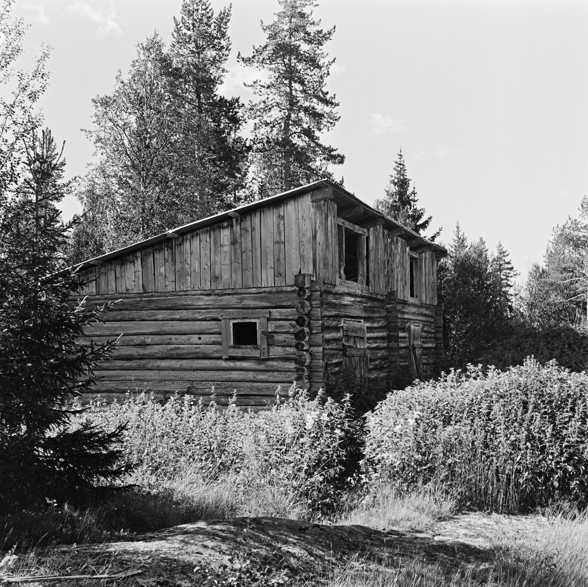 Stall ved damstue i Smådøla, aug. 1972. 