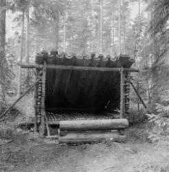 Gapaskjul på Glomdalsmuseet.