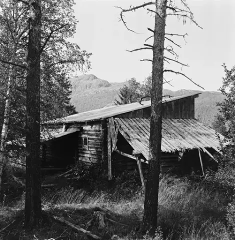 Stall ved damstue i Smådøla, aug. 1972.