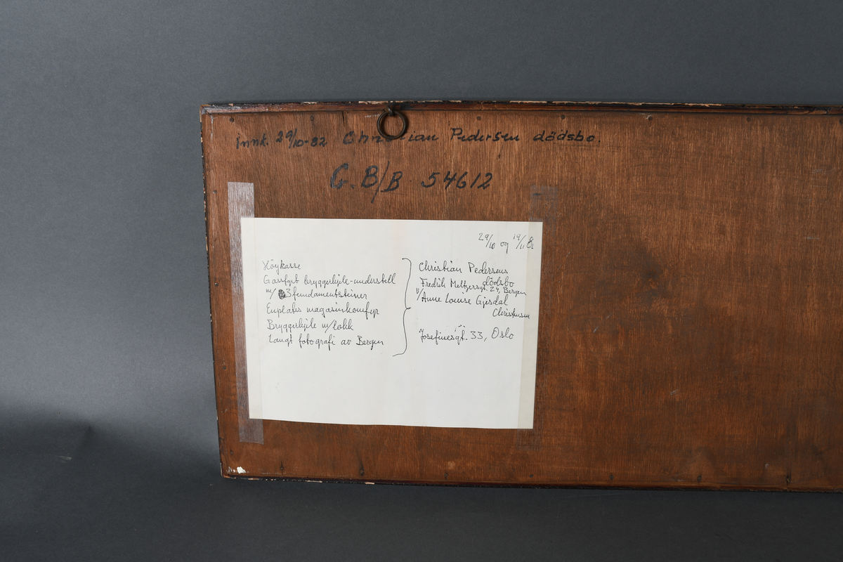 Panorama av Bergen sentrum.