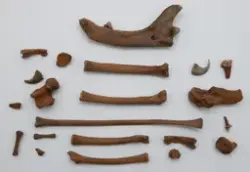 Arkeologisk undersökning