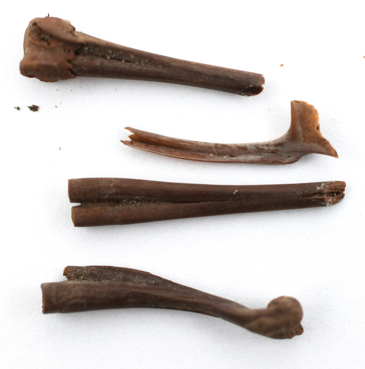 Det mycket omfattande fyndmaterialet domineras av keramik, främst yngre rödgods: grytor, karotter och fat. En del av detta är säkert producerat i Ny Varberg. En del yngre svartgods förekommer också, liksom kakel.

Importvaror från kontinenten är delar av rödgodset liksom vitgods, en hel del stengods och något fajans.

Vidare förekommer glas, både fönsterglas och dryckesglas, järnföremål av olika slag, förutom spik finns t ex lås, vidare mindre mängder brons, mässing och bly, varav några blyplomber.

Fynden har sorterats efter fyndomständighet och typ i följd VMF 50 000 - VMF 86 941, VMF 87 000 - VMF 87 032.

Därtill kommer diverse fyndnummer sten och ben som inte har VMF-nummer. Förmodligen är detta det samlade fyndmaterialets.

Merparten har lagts in i en databas av okänd typ, utskrifter från denna har kompletterats med en del uppgifter påskrivet för hand, liksom VMF-nummer, och finns i blankettform.

Sammanlagt omkring 3500 fyndposter finns att finna i  Primus av de drygt 37 000 posterna. Resten finns alltså endast dokumenterat på blanketter.

Själva sorteringen som helhet är av allt att döma bra gjord, det är bara det att arbetet tyvärr aldrig kunde fullföljas.

Oavsett infallsvinkel och frågeställngar så har fyndmaterialet tillsammans med dokumentationen god potential för vidare bearbetning och forskning.

Keramikfynd i Primus är VMF 50 000 - 52 296, enstaka poster > VMF 56 347, omkring 100 poster runt VMF 59 000, samt VMF 76 778 - 77 036.

Glas, läder, trä och metaller finns på VMF 86 000 - 86 941. Tegel har VMF  87 000 -  87 032.

Antalet fyndbackar är 443 st, varav keramik 362, glas 10, läder mm 6, trä 23, metall 15, tegel 13 samt sten 9 och ben 5 backar med olika fyndnummer men inte VMF-nummer. En del större träföremål som plank finns på pall.