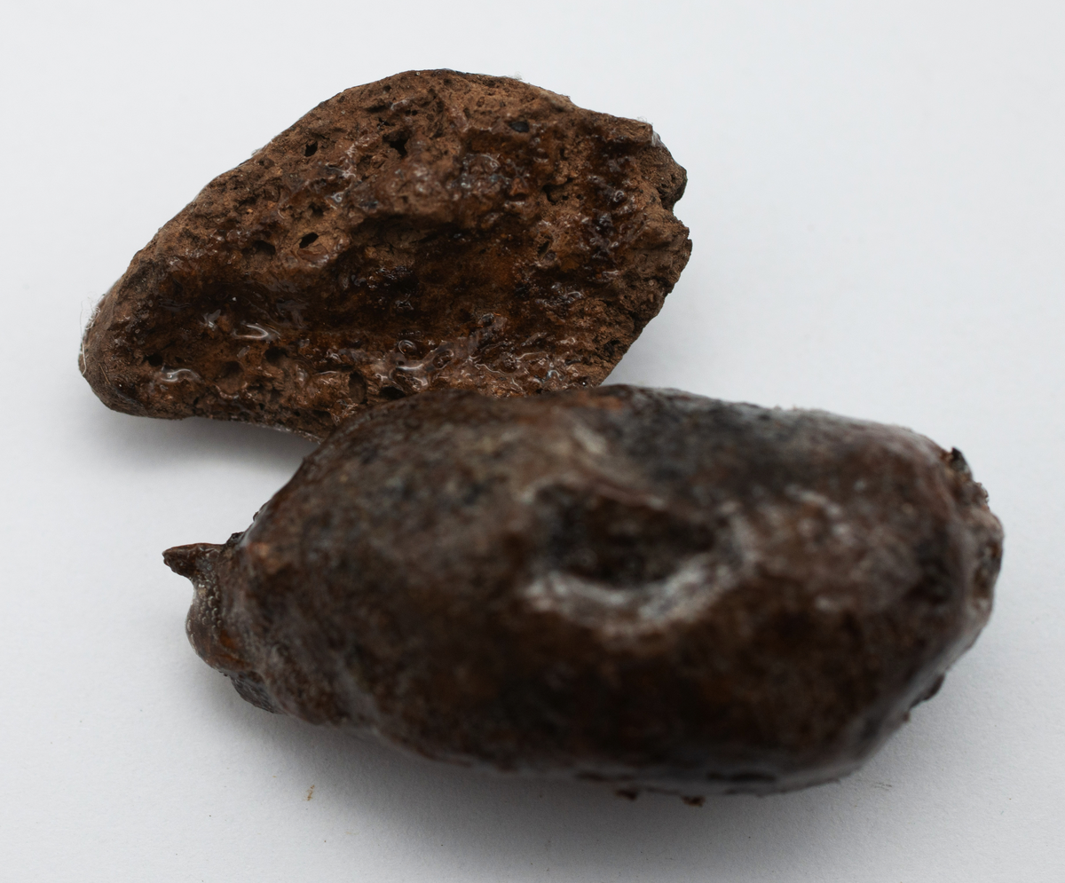 Det mycket omfattande fyndmaterialet domineras av keramik, främst yngre rödgods: grytor, karotter och fat. En del av detta är säkert producerat i Ny Varberg. En del yngre svartgods förekommer också, liksom kakel.

Importvaror från kontinenten är delar av rödgodset liksom vitgods, en hel del stengods och något fajans.

Vidare förekommer glas, både fönsterglas och dryckesglas, järnföremål av olika slag, förutom spik finns t ex lås, vidare mindre mängder brons, mässing och bly, varav några blyplomber.

Fynden har sorterats efter fyndomständighet och typ i följd VMF 50 000 - VMF 86 941, VMF 87 000 - VMF 87 032.

Därtill kommer diverse fyndnummer sten och ben som inte har VMF-nummer. Förmodligen är detta det samlade fyndmaterialets.

Merparten har lagts in i en databas av okänd typ, utskrifter från denna har kompletterats med en del uppgifter påskrivet för hand, liksom VMF-nummer, och finns i blankettform.

Sammanlagt omkring 3500 fyndposter finns att finna i  Primus av de drygt 37 000 posterna. Resten finns alltså endast dokumenterat på blanketter.

Själva sorteringen som helhet är av allt att döma bra gjord, det är bara det att arbetet tyvärr aldrig kunde fullföljas.

Oavsett infallsvinkel och frågeställngar så har fyndmaterialet tillsammans med dokumentationen god potential för vidare bearbetning och forskning.

Keramikfynd i Primus är VMF 50 000 - 52 296, enstaka poster > VMF 56 347, omkring 100 poster runt VMF 59 000, samt VMF 76 778 - 77 036.

Glas, läder, trä och metaller finns på VMF 86 000 - 86 941. Tegel har VMF  87 000 -  87 032.

Antalet fyndbackar är 443 st, varav keramik 362, glas 10, läder mm 6, trä 23, metall 15, tegel 13 samt sten 9 och ben 5 backar med olika fyndnummer men inte VMF-nummer. En del större träföremål som plank finns på pall.