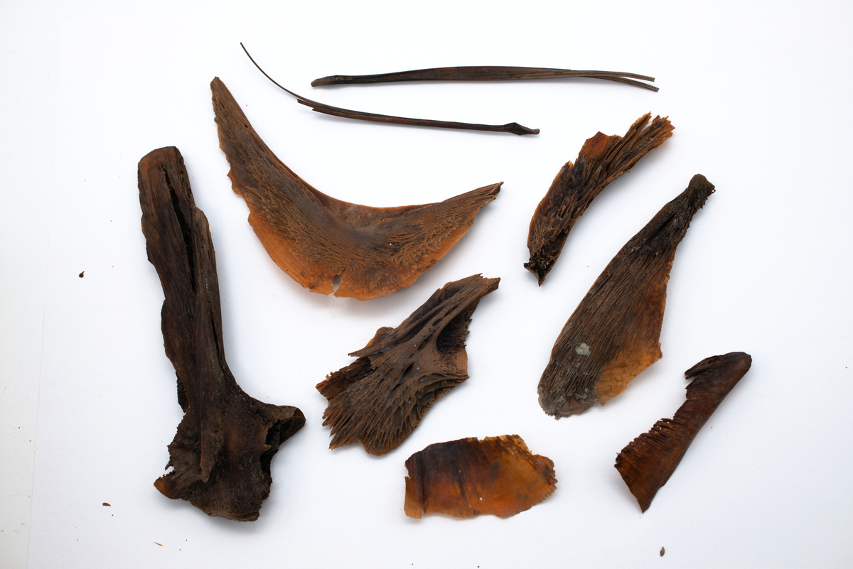 Det mycket omfattande fyndmaterialet domineras av keramik, främst yngre rödgods: grytor, karotter och fat. En del av detta är säkert producerat i Ny Varberg. En del yngre svartgods förekommer också, liksom kakel.

Importvaror från kontinenten är delar av rödgodset liksom vitgods, en hel del stengods och något fajans.

Vidare förekommer glas, både fönsterglas och dryckesglas, järnföremål av olika slag, förutom spik finns t ex lås, vidare mindre mängder brons, mässing och bly, varav några blyplomber.

Fynden har sorterats efter fyndomständighet och typ i följd VMF 50 000 - VMF 86 941, VMF 87 000 - VMF 87 032.

Därtill kommer diverse fyndnummer sten och ben som inte har VMF-nummer. Förmodligen är detta det samlade fyndmaterialets.

Merparten har lagts in i en databas av okänd typ, utskrifter från denna har kompletterats med en del uppgifter påskrivet för hand, liksom VMF-nummer, och finns i blankettform.

Sammanlagt omkring 3500 fyndposter finns att finna i  Primus av de drygt 37 000 posterna. Resten finns alltså endast dokumenterat på blanketter.

Själva sorteringen som helhet är av allt att döma bra gjord, det är bara det att arbetet tyvärr aldrig kunde fullföljas.

Oavsett infallsvinkel och frågeställngar så har fyndmaterialet tillsammans med dokumentationen god potential för vidare bearbetning och forskning.

Keramikfynd i Primus är VMF 50 000 - 52 296, enstaka poster > VMF 56 347, omkring 100 poster runt VMF 59 000, samt VMF 76 778 - 77 036.

Glas, läder, trä och metaller finns på VMF 86 000 - 86 941. Tegel har VMF  87 000 -  87 032.

Antalet fyndbackar är 443 st, varav keramik 362, glas 10, läder mm 6, trä 23, metall 15, tegel 13 samt sten 9 och ben 5 backar med olika fyndnummer men inte VMF-nummer. En del större träföremål som plank finns på pall.