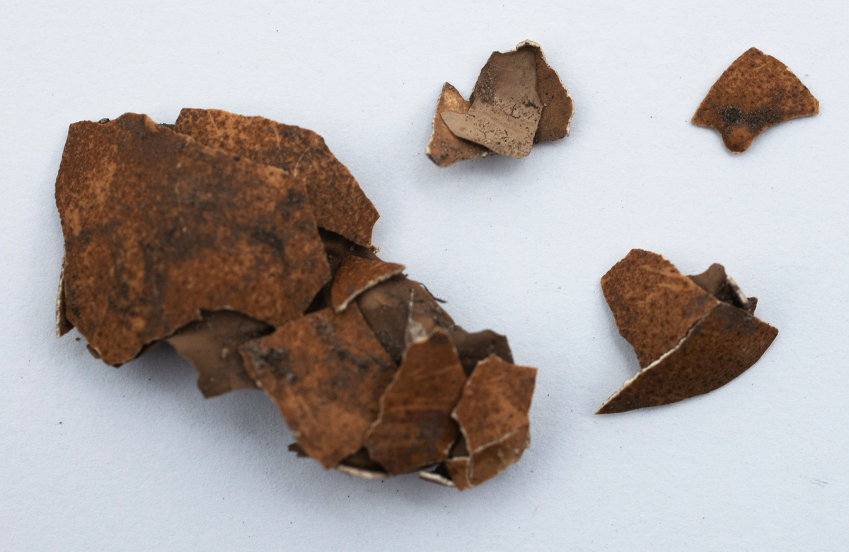 Det mycket omfattande fyndmaterialet domineras av keramik, främst yngre rödgods: grytor, karotter och fat. En del av detta är säkert producerat i Ny Varberg. En del yngre svartgods förekommer också, liksom kakel.

Importvaror från kontinenten är delar av rödgodset liksom vitgods, en hel del stengods och något fajans.

Vidare förekommer glas, både fönsterglas och dryckesglas, järnföremål av olika slag, förutom spik finns t ex lås, vidare mindre mängder brons, mässing och bly, varav några blyplomber.

Fynden har sorterats efter fyndomständighet och typ i följd VMF 50 000 - VMF 86 941, VMF 87 000 - VMF 87 032.

Därtill kommer diverse fyndnummer sten och ben som inte har VMF-nummer. Förmodligen är detta det samlade fyndmaterialets.

Merparten har lagts in i en databas av okänd typ, utskrifter från denna har kompletterats med en del uppgifter påskrivet för hand, liksom VMF-nummer, och finns i blankettform.

Sammanlagt omkring 3500 fyndposter finns att finna i  Primus av de drygt 37 000 posterna. Resten finns alltså endast dokumenterat på blanketter.

Själva sorteringen som helhet är av allt att döma bra gjord, det är bara det att arbetet tyvärr aldrig kunde fullföljas.

Oavsett infallsvinkel och frågeställngar så har fyndmaterialet tillsammans med dokumentationen god potential för vidare bearbetning och forskning.

Keramikfynd i Primus är VMF 50 000 - 52 296, enstaka poster > VMF 56 347, omkring 100 poster runt VMF 59 000, samt VMF 76 778 - 77 036.

Glas, läder, trä och metaller finns på VMF 86 000 - 86 941. Tegel har VMF  87 000 -  87 032.

Antalet fyndbackar är 443 st, varav keramik 362, glas 10, läder mm 6, trä 23, metall 15, tegel 13 samt sten 9 och ben 5 backar med olika fyndnummer men inte VMF-nummer. En del större träföremål som plank finns på pall.