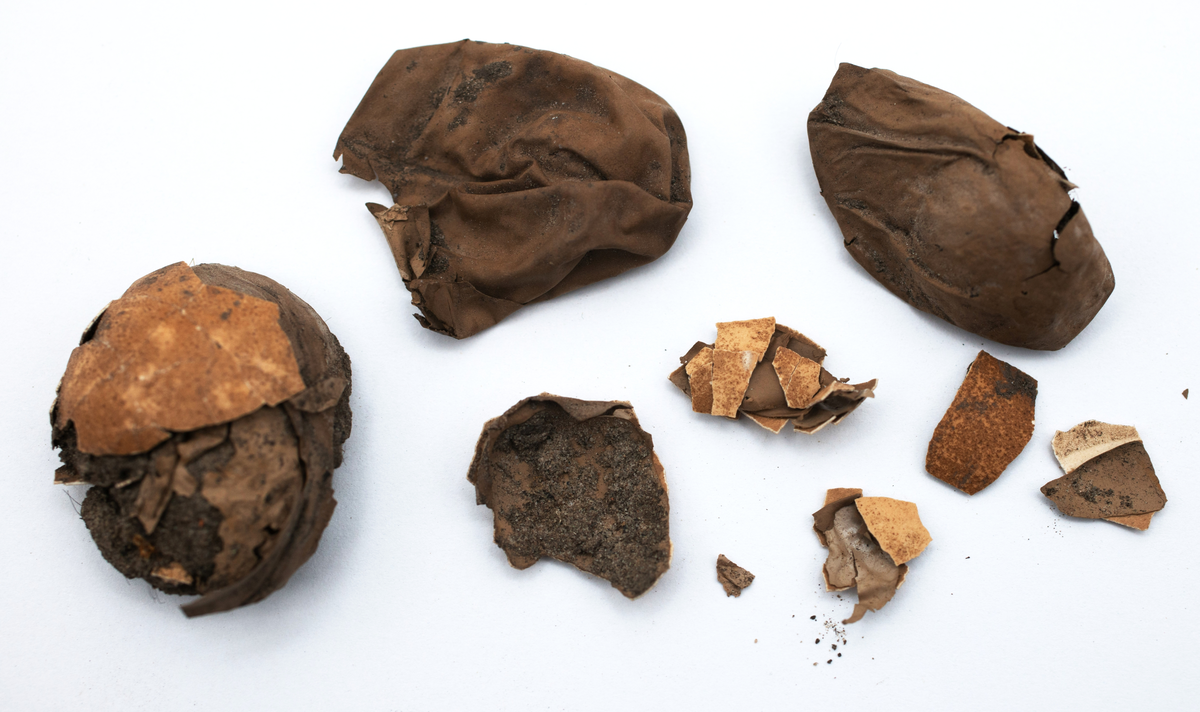 Det mycket omfattande fyndmaterialet domineras av keramik, främst yngre rödgods: grytor, karotter och fat. En del av detta är säkert producerat i Ny Varberg. En del yngre svartgods förekommer också, liksom kakel.

Importvaror från kontinenten är delar av rödgodset liksom vitgods, en hel del stengods och något fajans.

Vidare förekommer glas, både fönsterglas och dryckesglas, järnföremål av olika slag, förutom spik finns t ex lås, vidare mindre mängder brons, mässing och bly, varav några blyplomber.

Fynden har sorterats efter fyndomständighet och typ i följd VMF 50 000 - VMF 86 941, VMF 87 000 - VMF 87 032.

Därtill kommer diverse fyndnummer sten och ben som inte har VMF-nummer. Förmodligen är detta det samlade fyndmaterialets.

Merparten har lagts in i en databas av okänd typ, utskrifter från denna har kompletterats med en del uppgifter påskrivet för hand, liksom VMF-nummer, och finns i blankettform.

Sammanlagt omkring 3500 fyndposter finns att finna i  Primus av de drygt 37 000 posterna. Resten finns alltså endast dokumenterat på blanketter.

Själva sorteringen som helhet är av allt att döma bra gjord, det är bara det att arbetet tyvärr aldrig kunde fullföljas.

Oavsett infallsvinkel och frågeställngar så har fyndmaterialet tillsammans med dokumentationen god potential för vidare bearbetning och forskning.

Keramikfynd i Primus är VMF 50 000 - 52 296, enstaka poster > VMF 56 347, omkring 100 poster runt VMF 59 000, samt VMF 76 778 - 77 036.

Glas, läder, trä och metaller finns på VMF 86 000 - 86 941. Tegel har VMF  87 000 -  87 032.

Antalet fyndbackar är 443 st, varav keramik 362, glas 10, läder mm 6, trä 23, metall 15, tegel 13 samt sten 9 och ben 5 backar med olika fyndnummer men inte VMF-nummer. En del större träföremål som plank finns på pall.