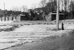 Saluhallar vid Hamnplan