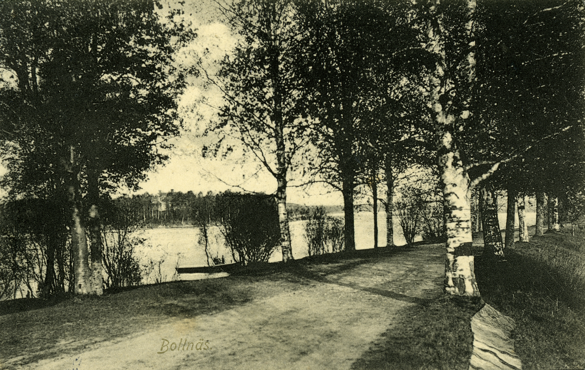 Parti från Bollnäs.