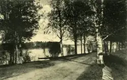 Parti från Bollnäs.