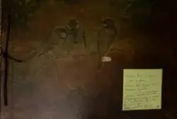 Fotoalbum CVM och F 3 Malmen, 1920-1930-tal.
Med motiv av fl