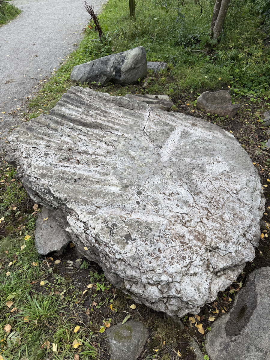 Grå kalkstenshäll med avlånga, ljusare fåror. Ena sidan av hällen något tunnare än den andra. Synlig sprickbildning.