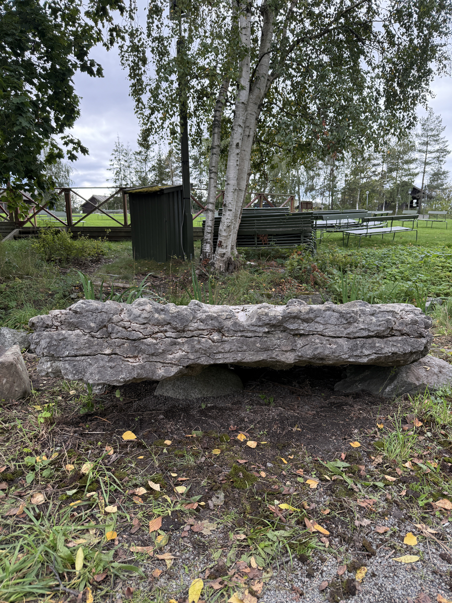 Grå kalkstenshäll med avlånga, ljusare fåror. Ena sidan av hällen något tunnare än den andra. Synlig sprickbildning.
