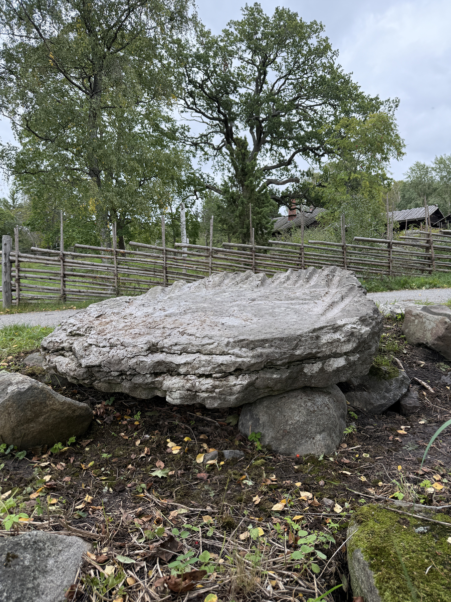 Grå kalkstenshäll med avlånga, ljusare fåror. Ena sidan av hällen något tunnare än den andra. Synlig sprickbildning.