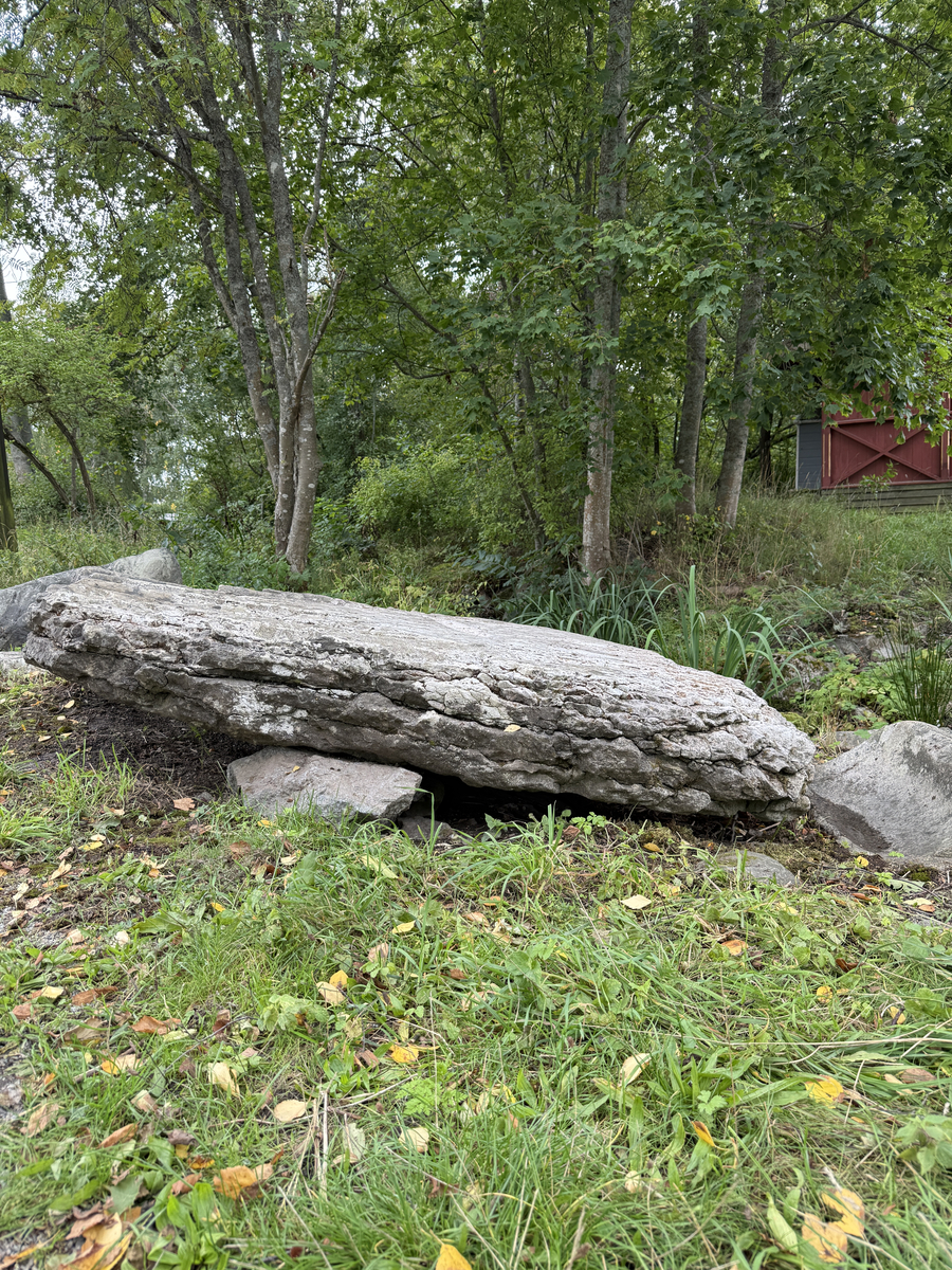 Grå kalkstenshäll med avlånga, ljusare fåror. Ena sidan av hällen något tunnare än den andra. Synlig sprickbildning.