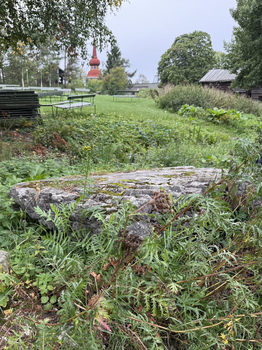 Grå kalkstenshäll med avlånga, ljusare fåror. Ena sidan av hällen något tunnare än den andra. Synlig sprickbildning.