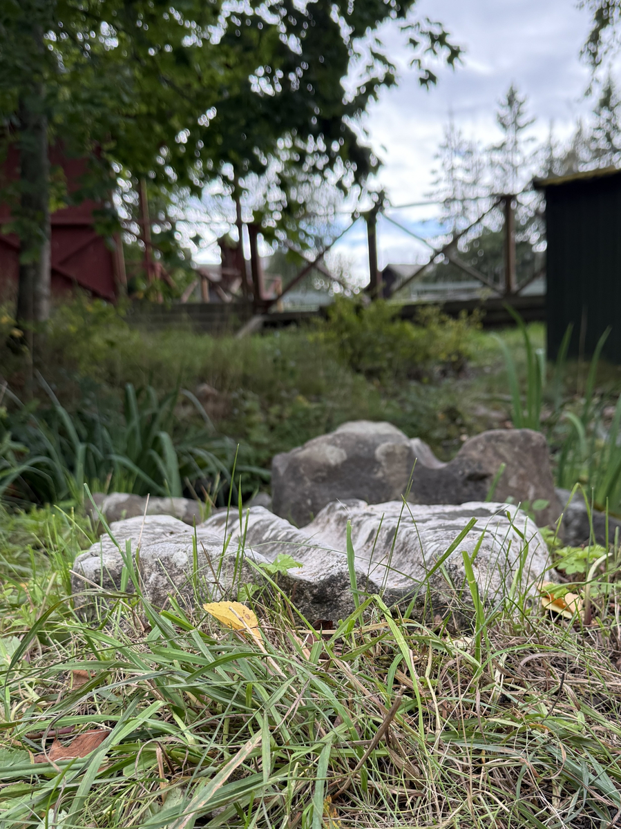 Grå kalksten med avlånga, ljusare fåror.