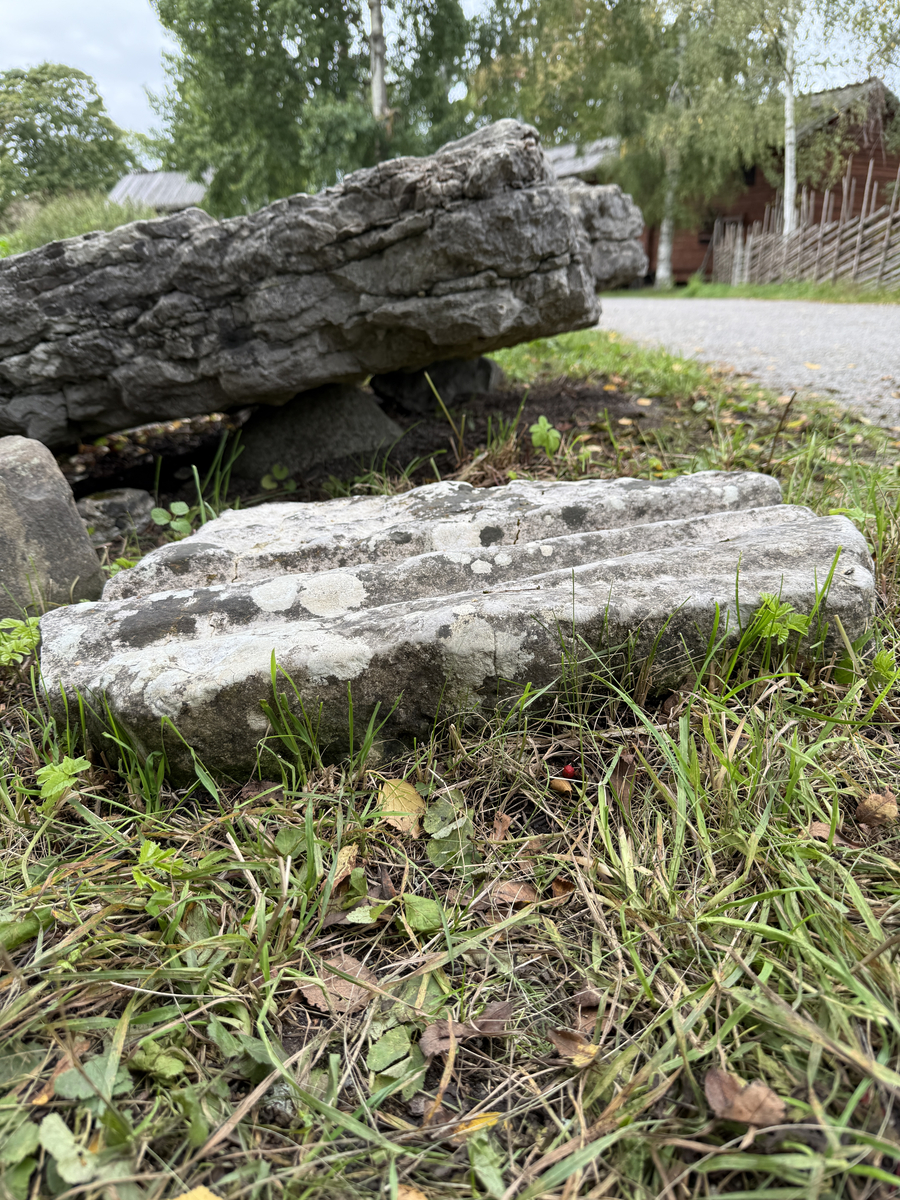 Grå kalksten med avlånga, ljusare fåror.