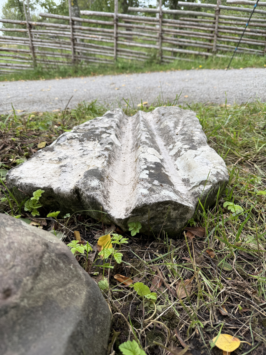 Grå kalksten med avlånga, ljusare fåror.