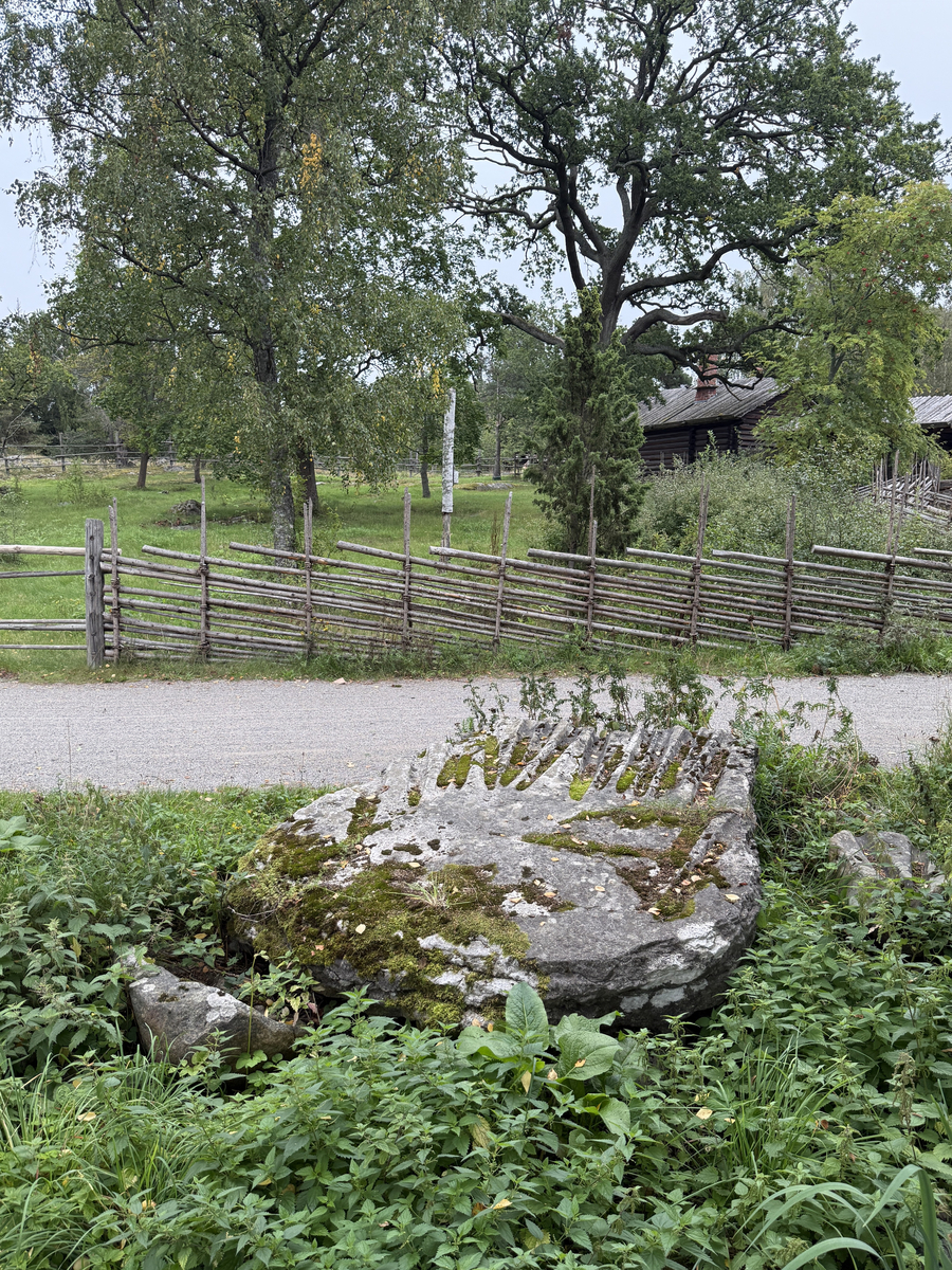 Grå kalkstenshäll med avlånga, ljusare fåror. Ena sidan av hällen något tunnare än den andra. Synlig sprickbildning.