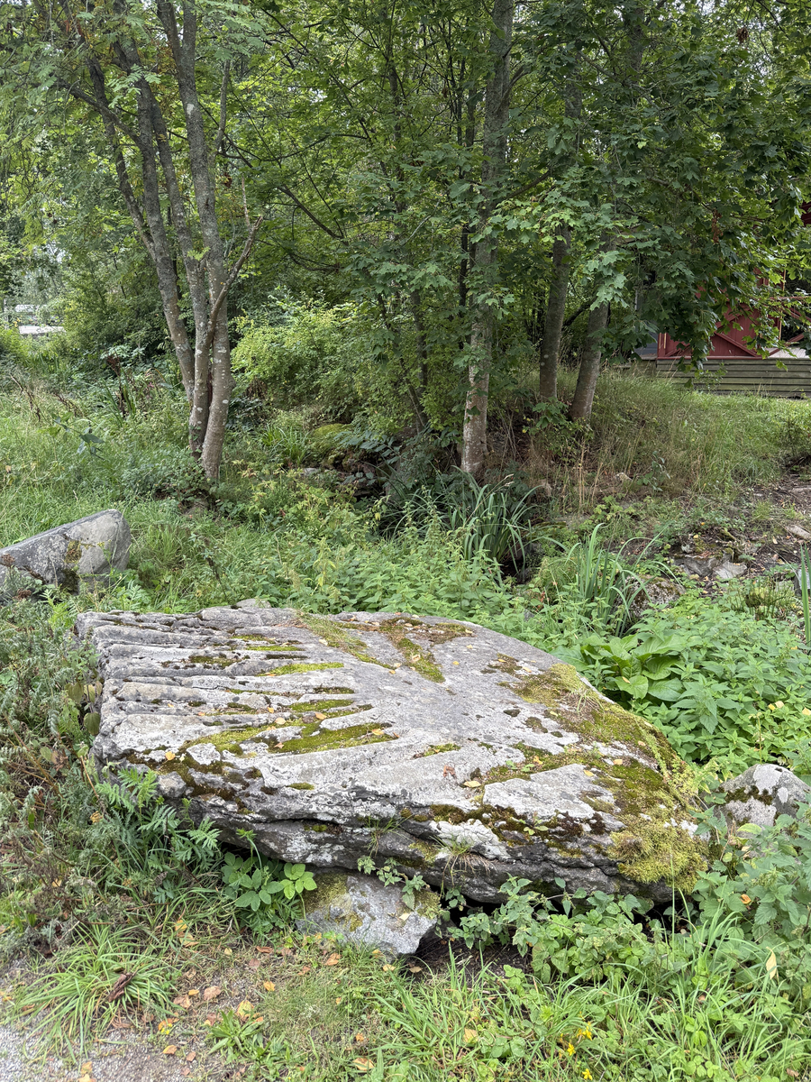 Grå kalkstenshäll med avlånga, ljusare fåror. Ena sidan av hällen något tunnare än den andra. Synlig sprickbildning.