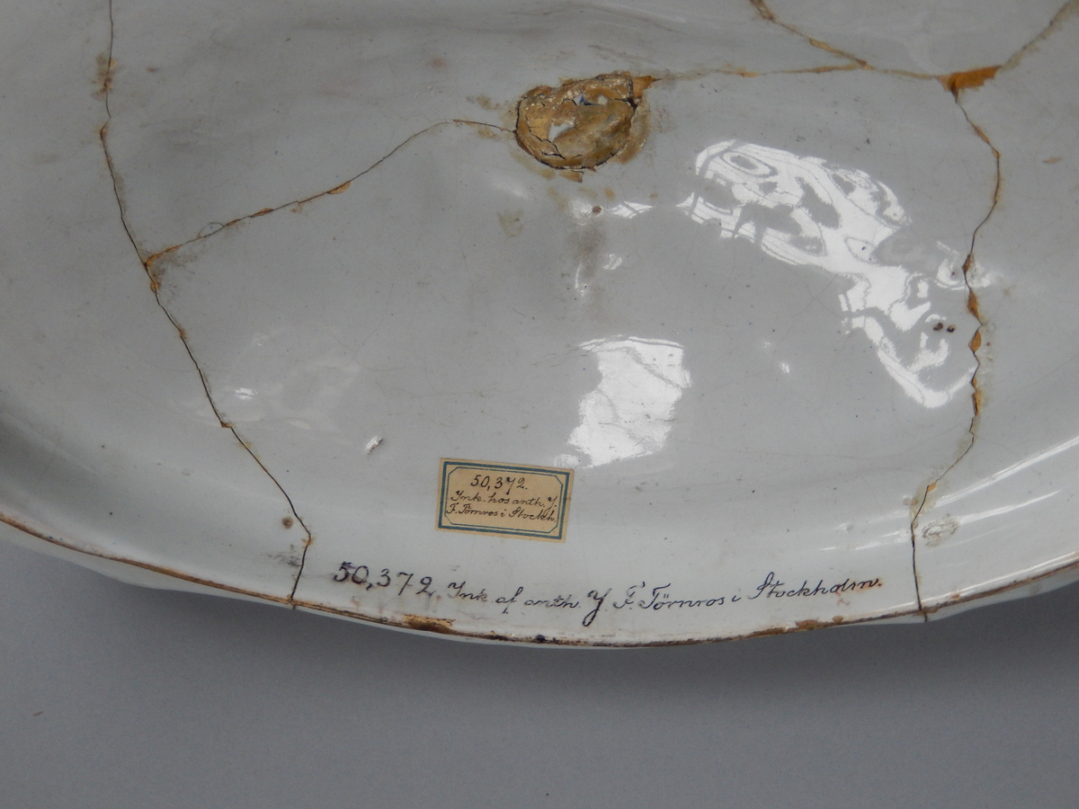 Nordstjärnan, rankor.