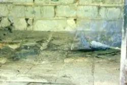 Brødbaking på Horgen vestre, Rolvsøy juni 1983 hos ekteparet