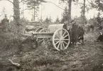 Smålands artilleriregemente, A 6. 7,5 cm kanon m/1902. Normalgruppering tillsammans med ammunitionsvagn, i Skillingaryd. Foto från år 1918.