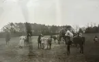 Smålands artilleriregemente, A 6. Hubertusjakt på övningsfältet. Efter målgång. Foto från år 1920.