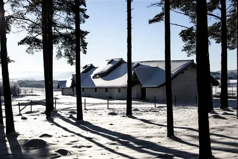 Snøkledd langhus skimtes gjennom furuskogen.
