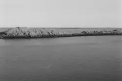 "Sjøfuglprosjektet".