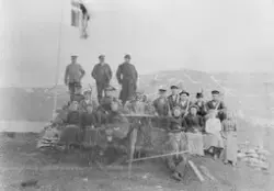 Skogplantere på øya Finnkona i Ranfjorden, øst for Dønna og 