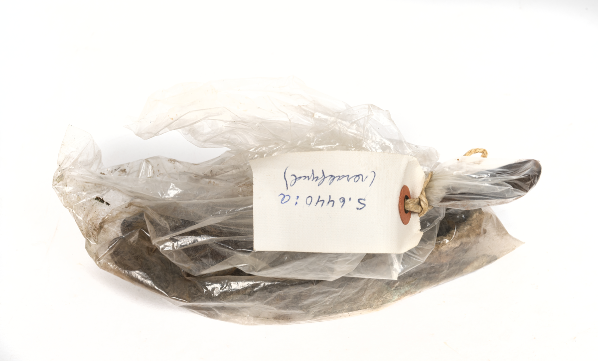 Sked och skedfragment.