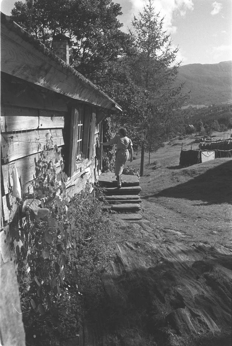 Bygninger, Hamre, Davik, Bremanger, Sogn og Fjordane.