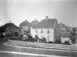 Fotograf-samlingene, Universitetsmuseet i Bergen
