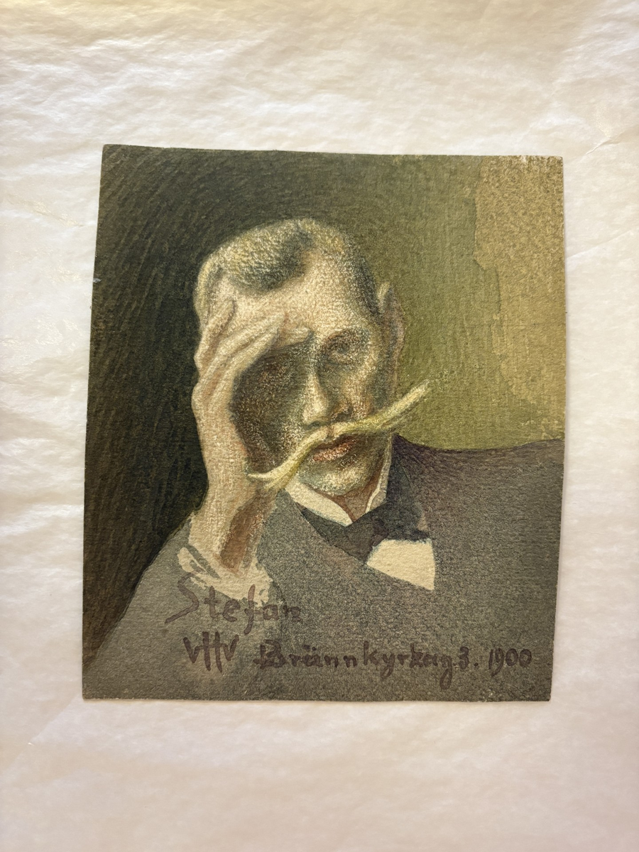 Porträtt av konstnären Stefan Johansson.