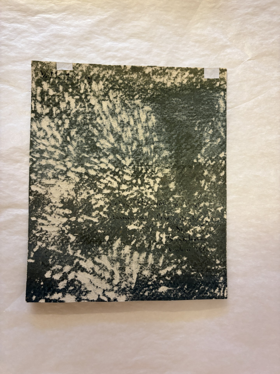 Porträtt av konstnären Stefan Johansson.