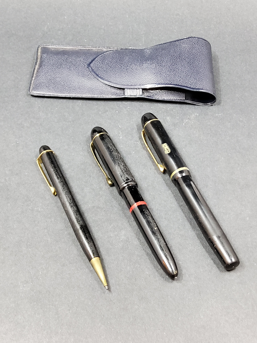 Pennfodral i plast med två bläckpennor.