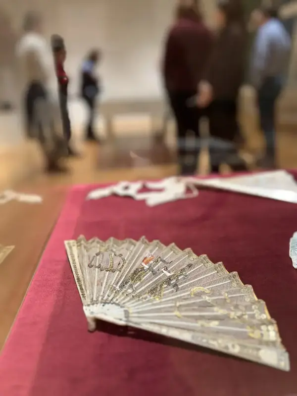 Närbild med solfjäder i monter