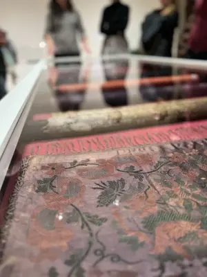 Närbild av sidensjalar i glasmonter