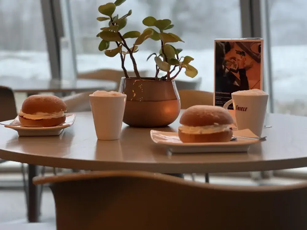 Bildet viser to fastelavn boller og kopper med kakao, begge med masse deilig krem. På det runde bordet er det også en grønn potte-plante. I bakgrunn ser vi et snøfylt landskap utenfor glassveggene.