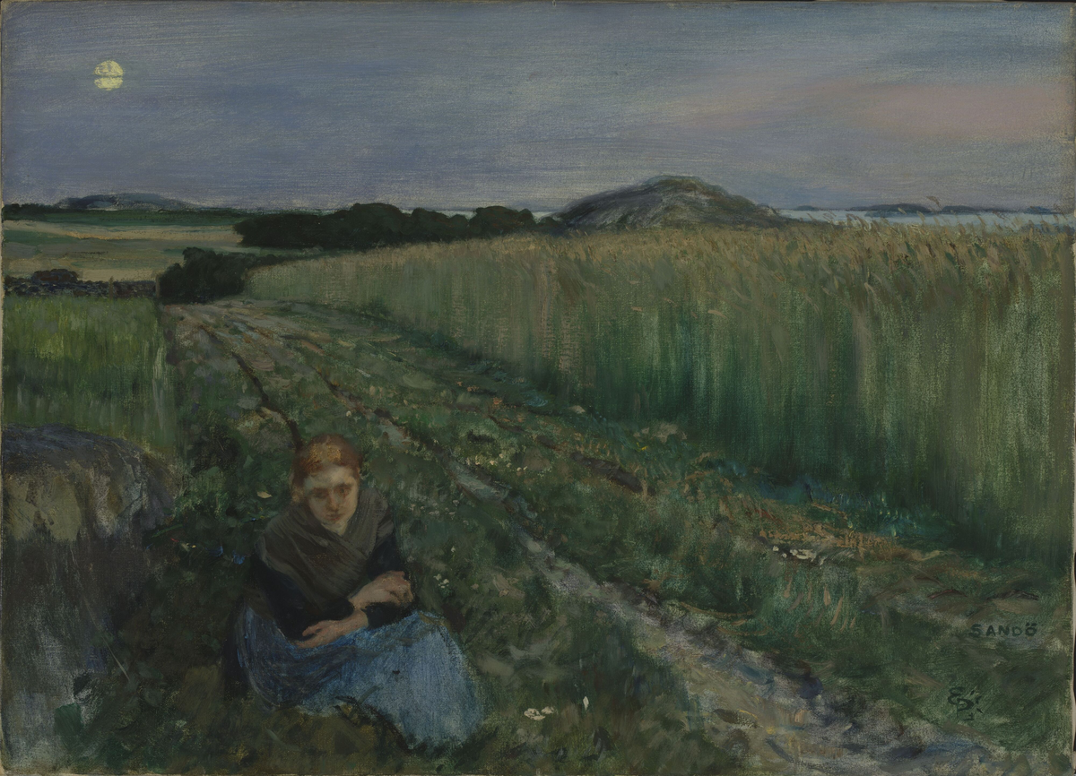 Sommerkveld, Sandø [Maleri]