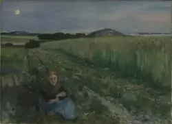 Sommerkveld, Sandø [Maleri]